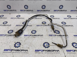 датчик загрязнения воздуха Audi A5 F5 [рестайлинг] F53 2023, 2.0 л., TFSI, DMS, бензин, вариатор, оливковый, купе, передний привод, правый руль, 8W0919519B