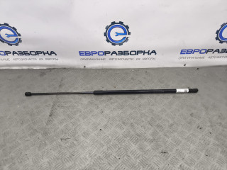 амортизатор капота Bentley Bentayga 1 поколение [рестайлинг] 4V1 2023, 4.0 л., TFSI, DCU, бензин, АКПП, темно-зеленый перламутр, внедорожник 5 дв., полный привод, правый руль, 36A823359A