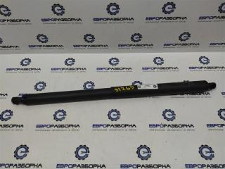 амортизатор крышки багажника (3-5 двери) BMW X1 F48 [рестайлинг] F48 2021, 2.0 л., бензин, АКПП, передний привод, 51217481805, 7481805