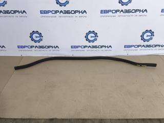 уплотнитель подкапотного пространства BMW 1 серия F40 2021, 2.0 л., бензин, АКПП, хетчбэк 5 дв., правый руль, 51767450916, 7450916