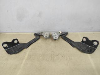петля капота Ford Edge 2 поколение CD539 2018, 2.0 л., бензин, АКПП, черный, внедорожник 5 дв., полный привод, FT4BR16800A, FT4BR16801A