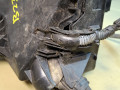 блок предохранителей Toyota Sienna 3 поколение 2011, 3.5 л., 2GR-FE, бензин, АКПП, серый, передний привод - фото №10