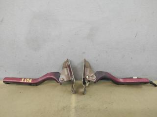 петля капота Subaru Tribeca 1 поколение [рестайлинг] 2013, 3.6 л., EZ36D, бензин, красный, внедорожник 5 дв., полный привод