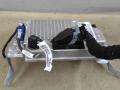 навигация Ford Escape 4 поколение CX482 2021, 2.5 л., гибрид, АКПП, внедорожник 5 дв., полный привод, MJ6T14G532ABB - фото №3
