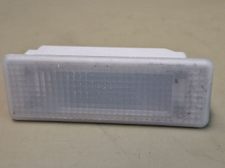 подсветка двери задней левой BMW X5 E70 2008, 3.0 л., дизель, АКПП, серый, внедорожник 5 дв., полный привод, правый руль