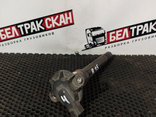 катушка зажигания Scania R 6 серия 2019, OC13 101, газ, АКПП, chilli red, задний привод, 2619347, 2992037, 2307732, 2201307