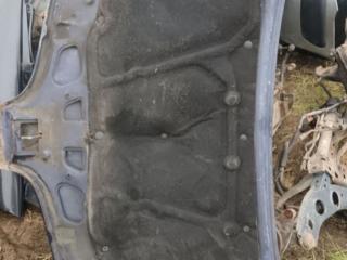 капот Renault Scenic 1 поколение 1997, 1.8 л., бензин, МКПП, хетчбэк 5 дв.