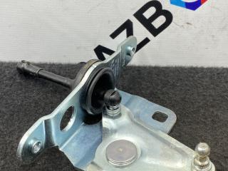 Петля заднего борта BMW X7 G07 [рестайлинг] G07 2024, 4.0 л., B57 D30 B, дизель, АКПП, 416, внедорожник 5 дв., полный привод, 7461670, 51247461670