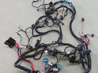 проводка Tesla Model Y 1 поколение 2023, электро, внедорожник 5 дв., полный привод, P2489058-07-B