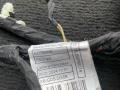 дверная проводка BMW X5 G05 [рестайлинг] G05 2024, 3.0 л., B57 D30 B, дизель, АКПП, 475, внедорожник 5 дв., полный привод, правый руль, 5A5B6D5 - фото №3