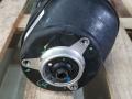 пневмостойка передняя BMW X7 G07 [рестайлинг] G07 2024, 4.0 л., B57 D30 B, дизель, АКПП, 416, внедорожник 5 дв., полный привод, 7831561 - фото №2