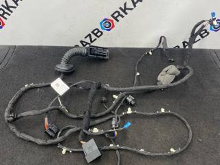 дверная проводка BMW X5 G05 [рестайлинг] G05 2024, 3.0 л., B57 D30 B, дизель, 416, полный привод, 5A5B6B2