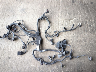 проводка двигателя BMW X3 G01 2020, 2.0 л., B47 D20 B, дизель, АКПП, 416, внедорожник 5 дв., полный привод, 8477763, 7580208