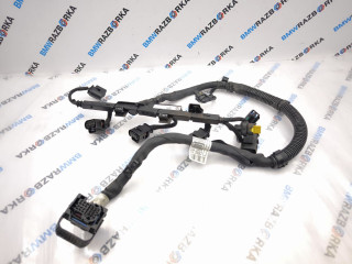проводка BMW X3 G01 2020, 2.0 л., B47 D20 B, дизель, АКПП, 416, внедорожник 5 дв., полный привод, 7580078, 8590044