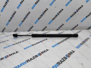 амортизатор капота BMW X6 F16 2015, 3.0 л., N57 D30 C, дизель, АКПП, a96, внедорожник 5 дв., полный привод, 7308065