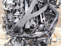 двигатель BMW M2 G87 2023, 3.0 л., S58B30A, бензин, МКПП, купе, задний привод, S58B30A - фото №3