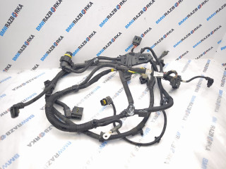 Проводка КПП BMW X3 G01 2020, 2.0 л., B47 D20 B, дизель, АКПП, 416, внедорожник 5 дв., полный привод, 7580232