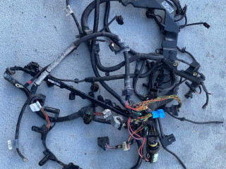 проводка двигателя BMW 5 серия F07/F10/F11 2011, 3.0 л., N57 D30 A, дизель, АКПП, хетчбэк 5 дв., задний привод, правый руль, 7809679, 7809680, 8506084, 8506083