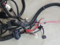 проводка Tesla Model Y 1 поколение 2023, электро, внедорожник 5 дв., полный привод, P2489058-07-B - фото №5