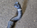 патрубок радиатора BMW M3 G80/G81 G80 2023, 3.0 л., S58B30A, бензин, АКПП, c4g, седан, полный привод, правый руль, 17128096431, 8096431 - фото №5