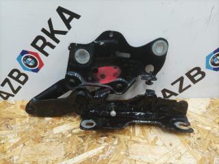 петля капота правая BMW X7 G07 [рестайлинг] G07 2024, 4.0 л., B57 D30 B, дизель, АКПП, 416, внедорожник 5 дв., полный привод, 7418202