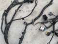 проводка двигателя BMW X7 G07 [рестайлинг] G07 2024, 4.0 л., B57 D30 B, дизель, АКПП, 416, внедорожник 5 дв., полный привод, 9887452, 9887450, 7380487, 9887438, 9887449 - фото №5