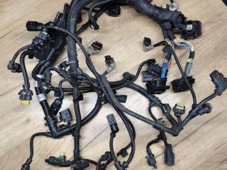 проводка двигателя BMW X2 F39 2018, 2.0 л., дизель, МКПП, внедорожник 5 дв., передний привод, 7390317, 8581551