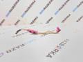 фонарь салона (плафон) BMW M3 G80/G81 G80 2023, 3.0 л., S58B30A, бензин, АКПП, c4g, седан, полный привод, правый руль, 9891439, 8P989143903 - фото №2