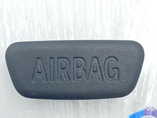 заглушка airbag BMW X6 G06 2020, 3.0 л., B57 D30 A, дизель, АКПП, внедорожник 5 дв., 9153774