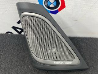динамик высокочастотный (пищалка) BMW 7 серия G11/G12 G11 2017, 4.0 л., B57 D30 B, дизель, x03 rubin-metallic black, седан, полный привод, 9362561, 7458445
