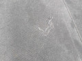 полка багажника BMW X6 E71 [рестайлинг] E71 2012, 3.0 л., N57 D30 C, дизель, АКПП, 475, внедорожник 5 дв., полный привод, 9133316 - фото №3