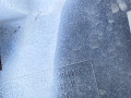 кожух (защита) рулевого механизма BMW X5 G05 2021, 3.0 л., бензин, АКПП, с27, внедорожник 5 дв., полный привод, правый руль, 51717424918, 7424918 - фото №3