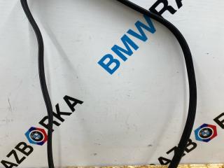 ремень генератора BMW 4 серия F32/F33 [рестайлинг] F36 2018, 2.0 л., B48 B20 A, бензин, АКПП, хетчбэк 5 дв., задний привод, правый руль, 8646475