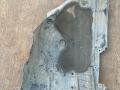 защита арок передняя левая (подкрылок) BMW 7 серия G11/G12 G11 2017, 4.0 л., B57 D30 B, дизель, x03 rubin-metallic black, седан, полный привод, 7340201 - фото №2