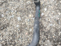 патрубок радиатора BMW M2 G87 2023, 3.0 л., S58B30A, бензин, МКПП, купе, задний привод, 8088989, 17128088989 - фото №2