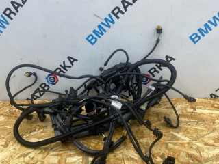 проводка двигателя BMW X4 F26 2017, 3.0 л., N55 B30 A, бензин, АКПП, внедорожник 5 дв., полный привод, 7593341, 8656311