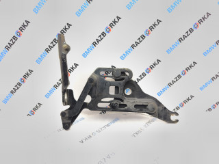 петля капота левая BMW X6 E71 [рестайлинг] E71 2012, 3.0 л., N57 D30 C, дизель, АКПП, 475, внедорожник 5 дв., полный привод, 7148347