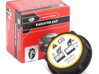 пробка расширительного бачка Land Rover Range Rover Evoque L551 (2018 - 2025), 2.0 л., бензин, 3M5H8100AD, DG938101AA, 1301104, 5193938, 31368311, 30680002, 1224233, 3M5H8100AC, LR000243, LF5015205A, DG9Z8100A, 31370709, J9C1407, RC240