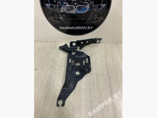 петля капота BMW X5 E70 2007, 3.0 л., M57N2 306 D3, дизель, АКПП, внедорожник 5 дв., 7148347