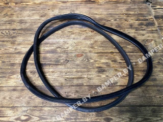 уплотнитель двери BMW X5 E70 2007, 3.0 л., M57N2 306 D3, дизель, АКПП, внедорожник 5 дв.