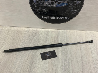 амортизатор крышки багажника (3-5 двери) BMW X5 E53 [рестайлинг] E53 2006, 3.0 л., M57N 306 D2, дизель, АКПП, внедорожник 5 дв., 51248402405, 8402405