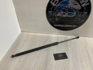 амортизатор крышки багажника (3-5 двери) BMW X5 E53 [рестайлинг] E53 2006, 3.0 л., M57N 306 D2, дизель, АКПП, внедорожник 5 дв., 51248402405, 8402405