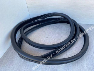 уплотнитель двери BMW 5 серия F07/F10/F11 F10 2012, 2.0 л., N47 D20 C, дизель, МКПП, седан