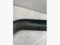 патрубок радиатора BMW X5 E70 2007, 3.0 л., дизель, АКПП, внедорожник 5 дв., полный привод, 17127794153, 7794153 - фото №2