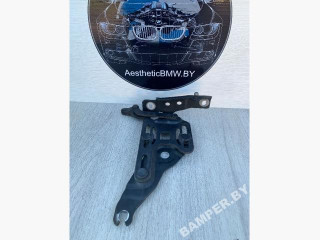 петля капота левая BMW X5 E70 2007, 3.0 л., дизель, АКПП, внедорожник 5 дв., полный привод, 7148347