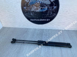 амортизатор капота BMW X5 E70 2007, 3.0 л., дизель, АКПП, внедорожник 5 дв., полный привод, 51327148346, 7148346