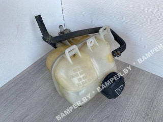 бачок расширительный Mini Cooper 1 поколение [рестайлинг] R56 2006, 1.6 л., N12 B16 A, бензин, МКПП, хетчбэк 5 дв., 17107539267, 7539267