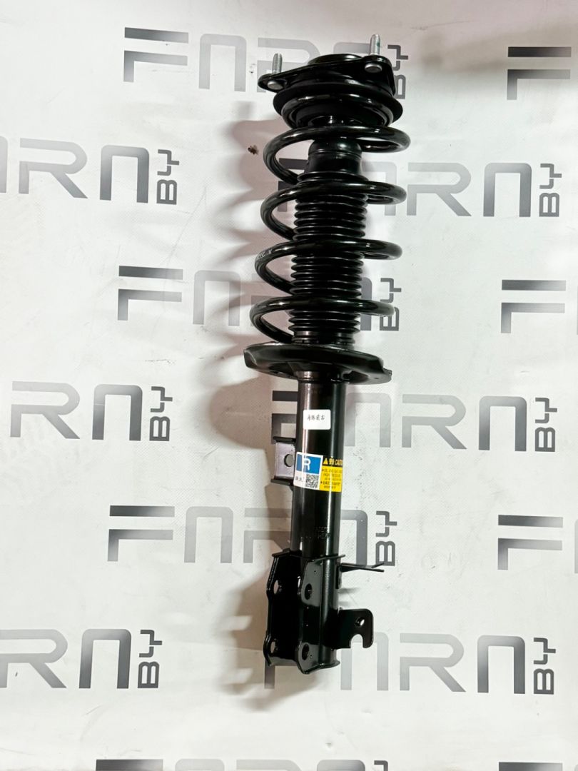 амортизатор передний правый BYD Dolphin 1 поколение 2024, EM2E-2905020C-D1 - фото №1