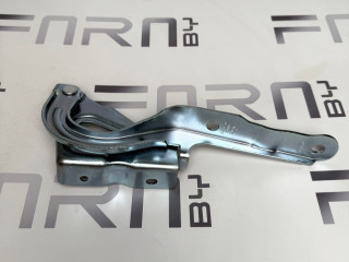 петля капота BYD E2 1 поколение [рестайлинг] 2024, EL-8402610