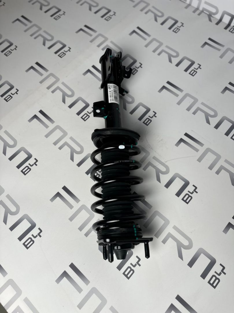амортизатор передний левый BYD Dolphin 1 поколение 2024, EM2E-2905010C-D1 - фото №1